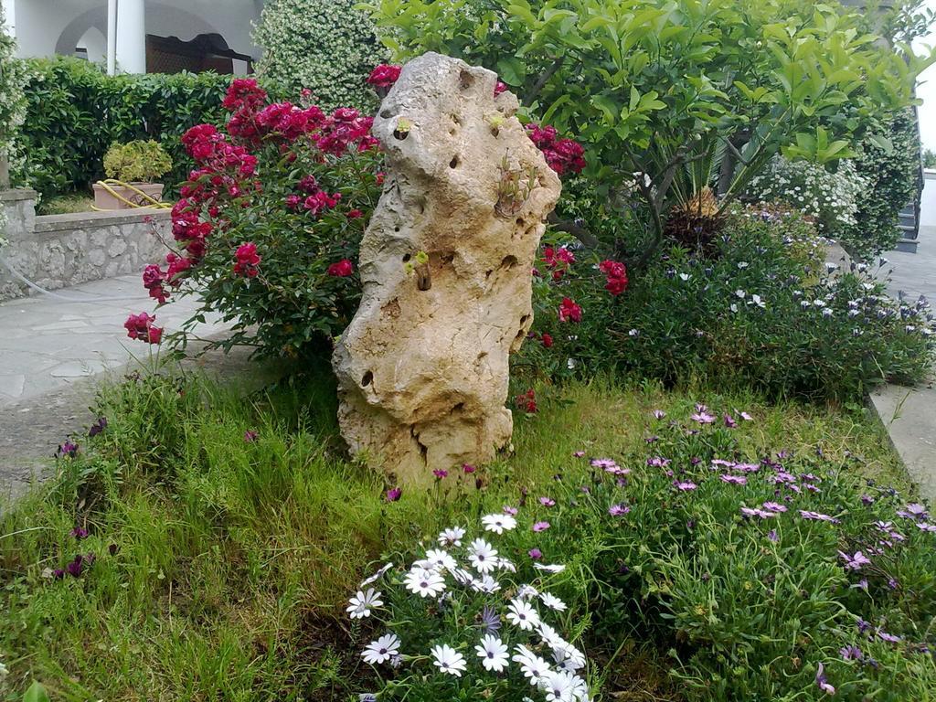Il Merlo Anacapri Kültér fotó