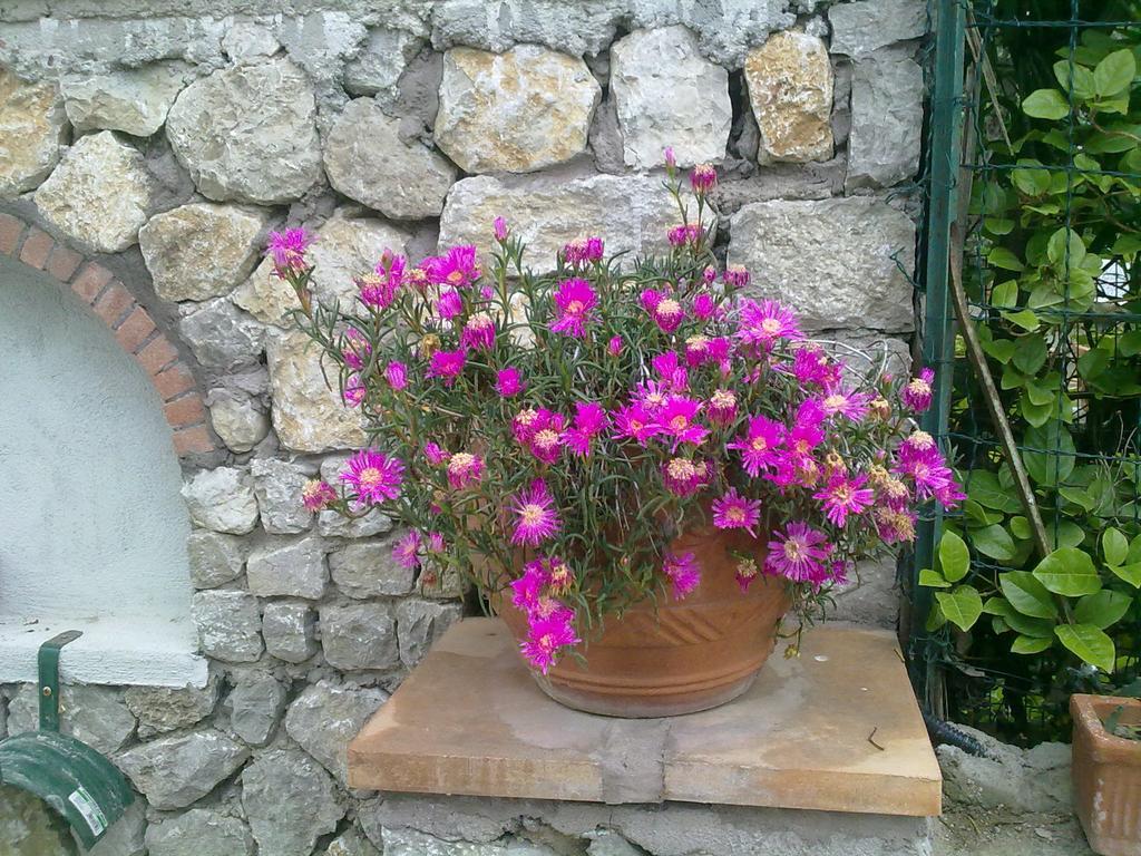 Il Merlo Anacapri Kültér fotó